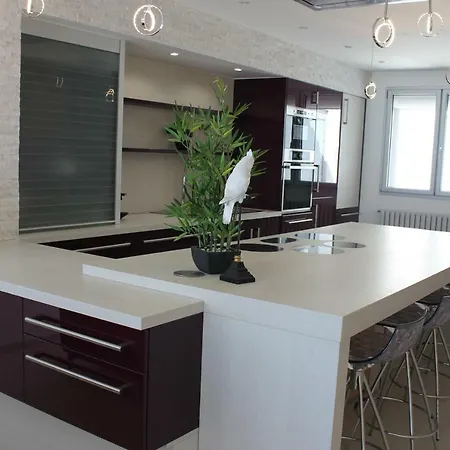 Apartment 3 Pieces Promenade Des Dernier Etage Vue Solarium Nice